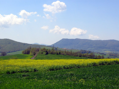 Tolfa Mountains